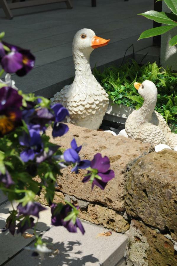 ホテル La Casa Dei Nonni Sul Garda ペスキエーラ・デル・ガルダ エクステリア 写真